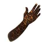 9051 lange Spitze-Handschuhe