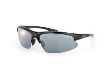 ALPINA Radsportbrille Dribs