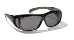 ALPINA Radsportbrille Overview