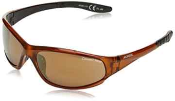 Alpina Sonnenbrille WYLDER