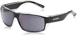 Alpina Sportbrille A 61