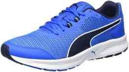 Puma Herren Descendant V4 Laufschuhe