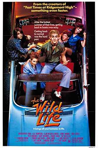 THE WILD LIFE ~ 1984 Cameron Crowe Teen Comedy | Rare DVD All Regions