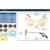 CGID Moderne Modische Spiegel Polarisierte Katzenauge Sonnenbrille Brille UV400 -