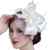 Kapmore Frauen Hochzeit Haar Clip Hut haarschmuck blumen Fascinator mit Schleier Perlen Feder -